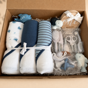 Boy baby gift